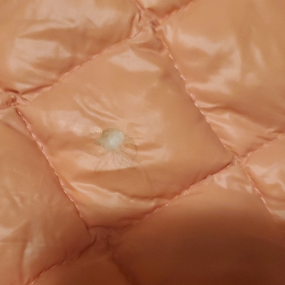 Women's small puffy vest - Picture 5 of 8